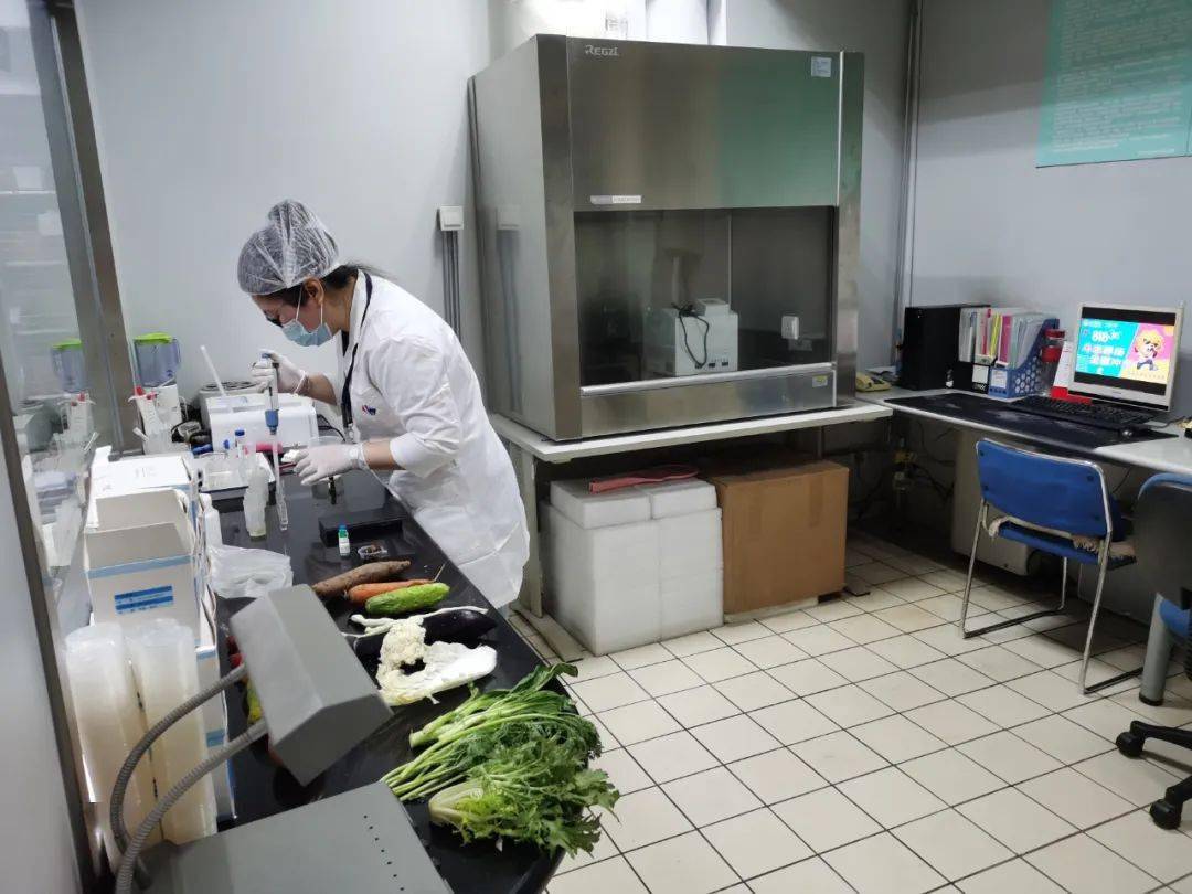 蔡甸食品检测实验室装修方案